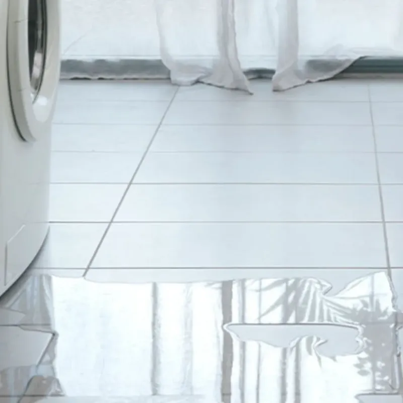 Appliance Leak Cleanup in Shady Shores, TX