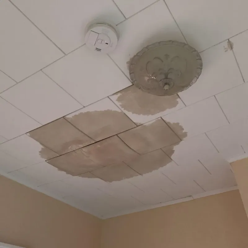 Ceiling Water Damage Repair in Shady Shores, TX