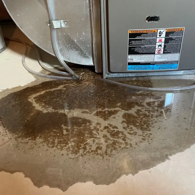 Pipe Burst and Leak Restoration in Shady Shores, TX