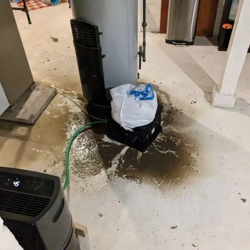 Sewage Backup Cleanup Service in Shady Shores, TX